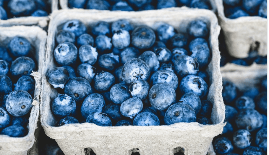 여러 바구니에 담겨 있는 블루베리