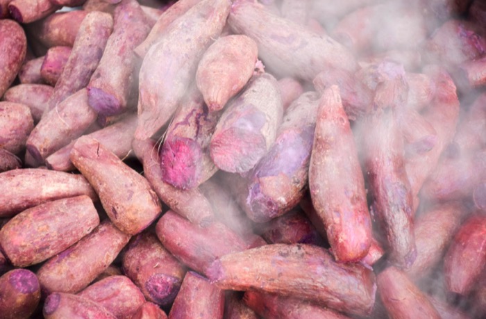 자색 고구마 안토시아닌