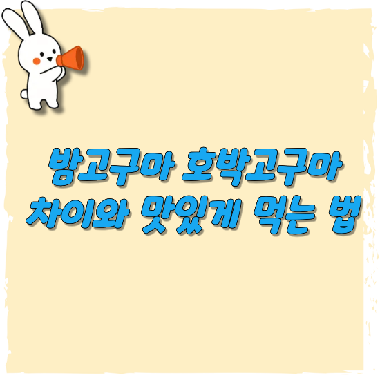 밤고구마-호박고구마-차이-썸네일