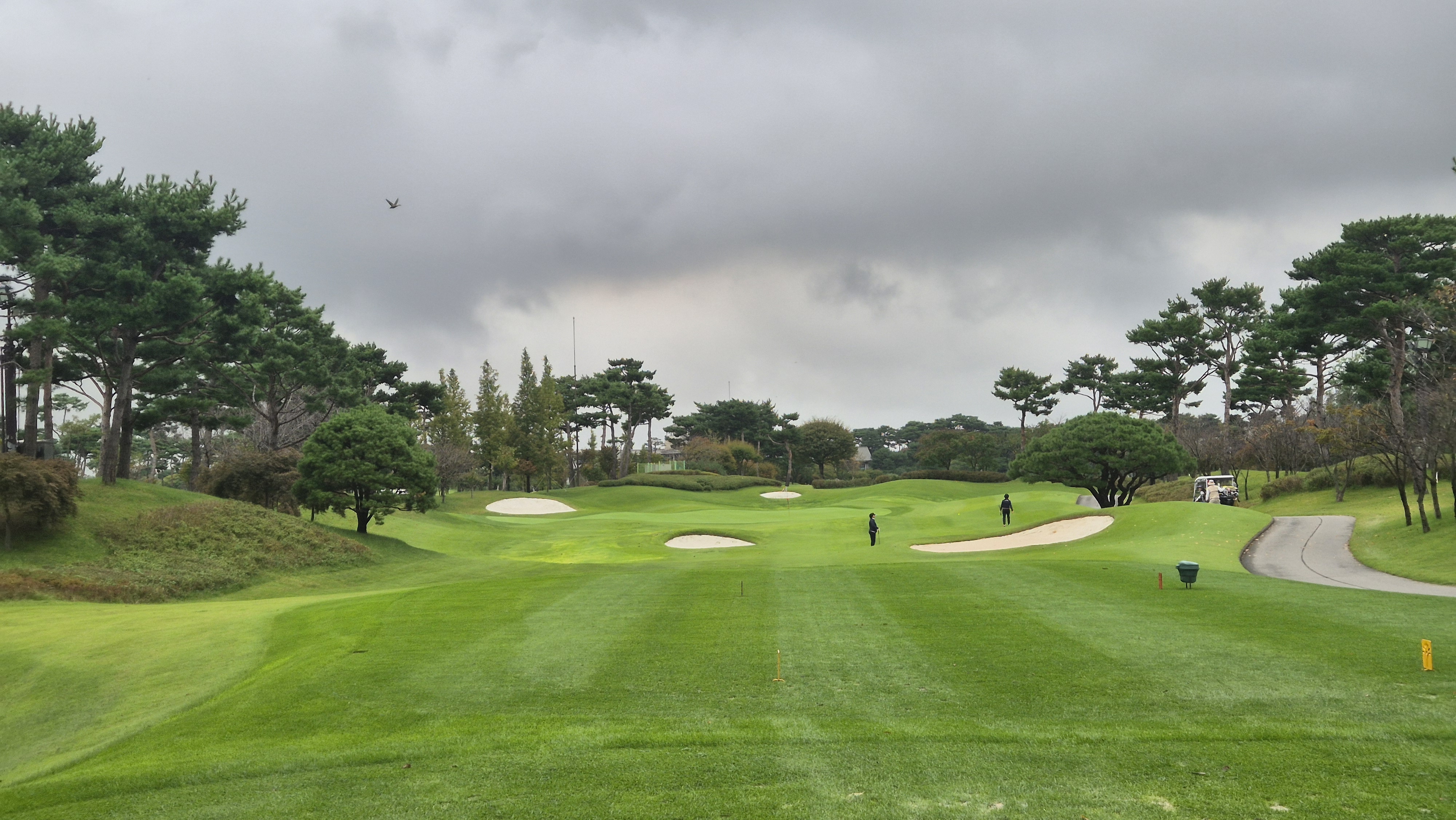 파인스톤cc 스톤 코스