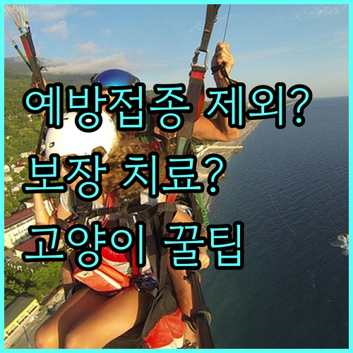 고양이 펫보험 예방접종 제외 원칙과 ..