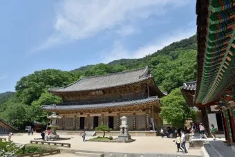구례 가볼만한곳 베스트10 섬진강 벚꽃길 사성암 드라이브_3