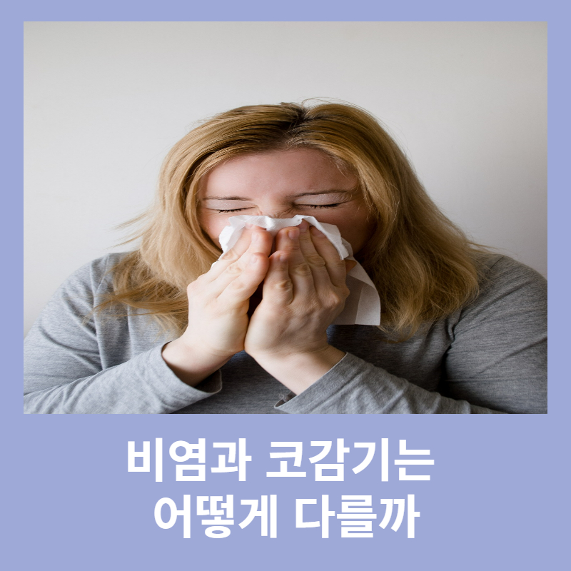 비염