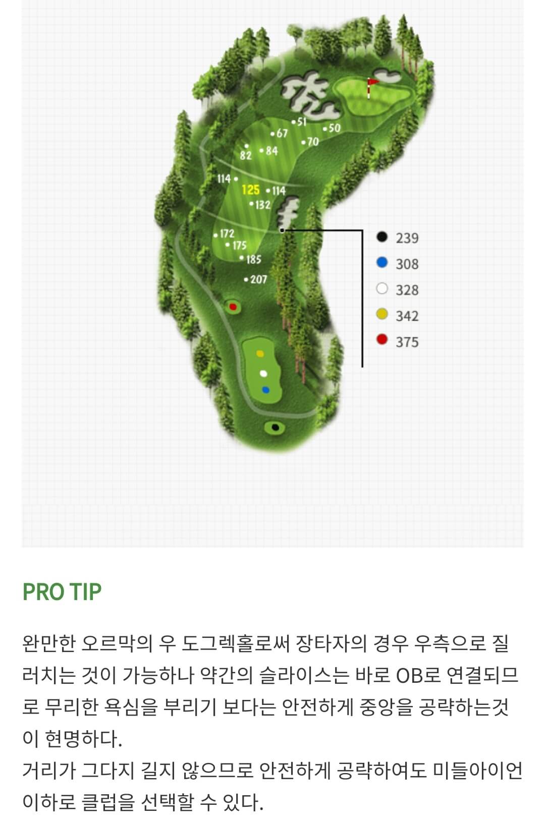 솔모로 컨트리클럽 파인코스 09