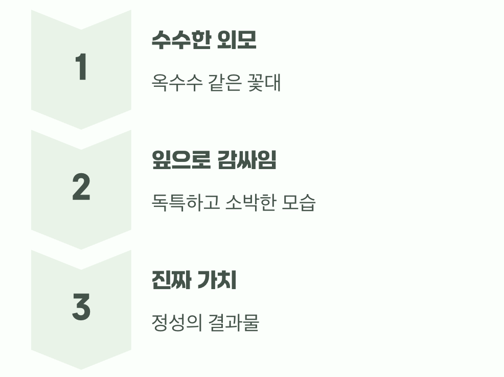 행운의 꽃, 그 모습은?