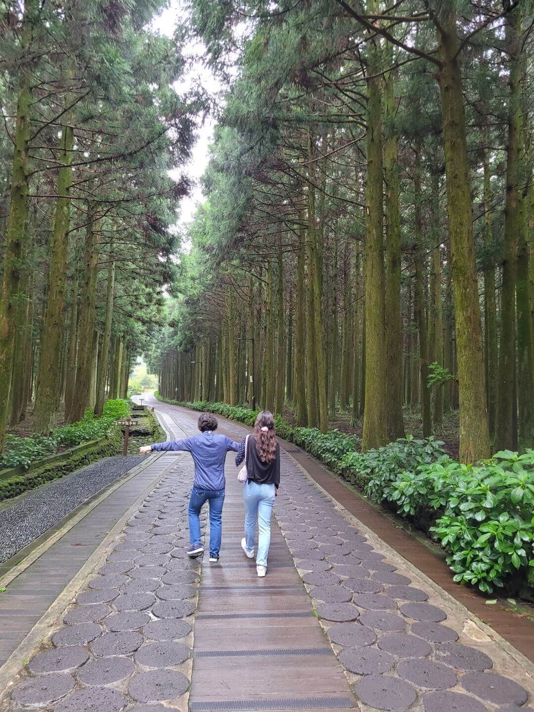 제주도 호텔 추천