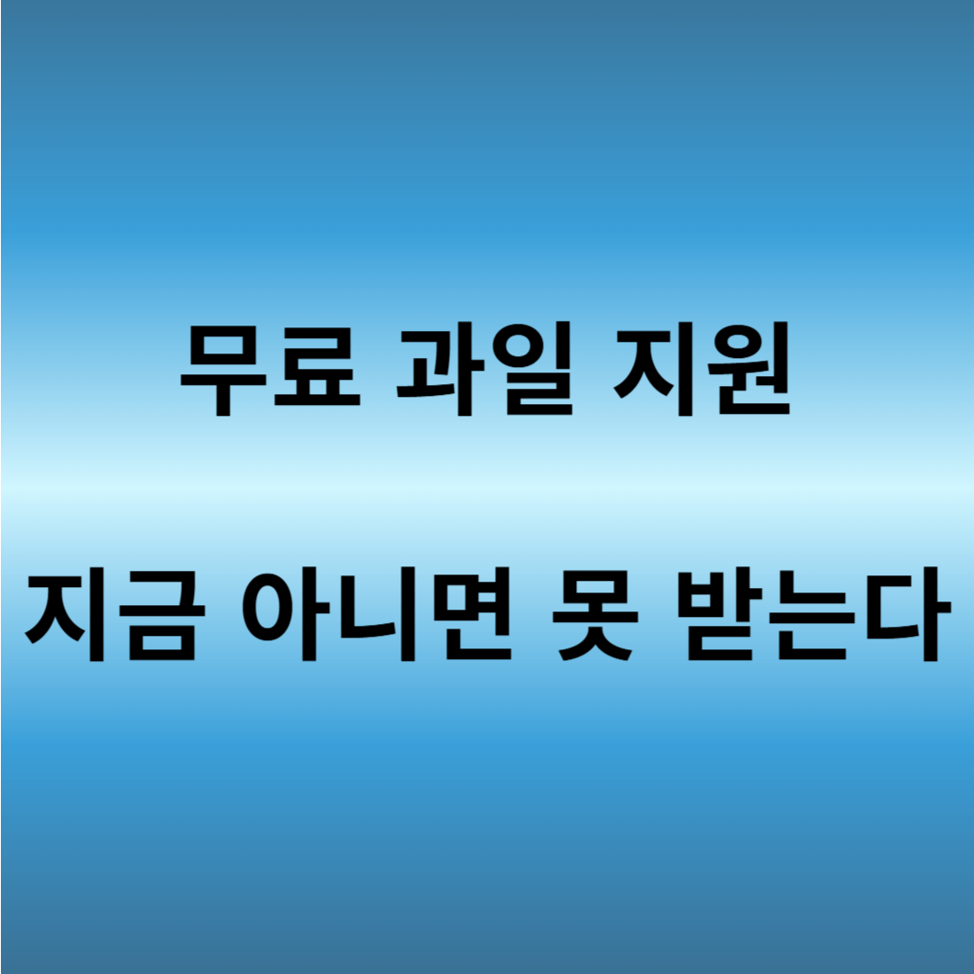 신생아 과일지원사업 신청 방법 2025