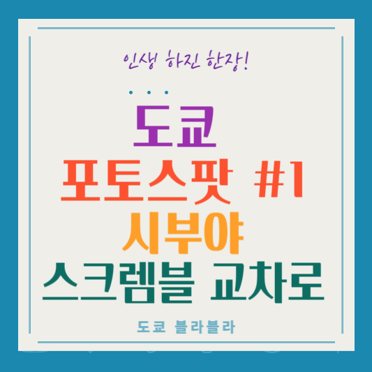 도쿄사진스팟1