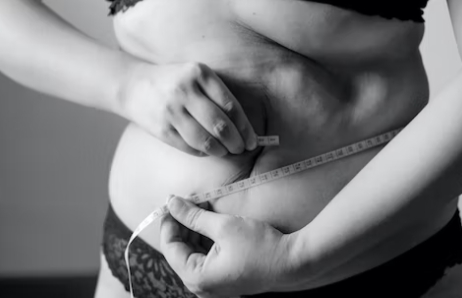 체지방률 BMI 정상범위 계산방법