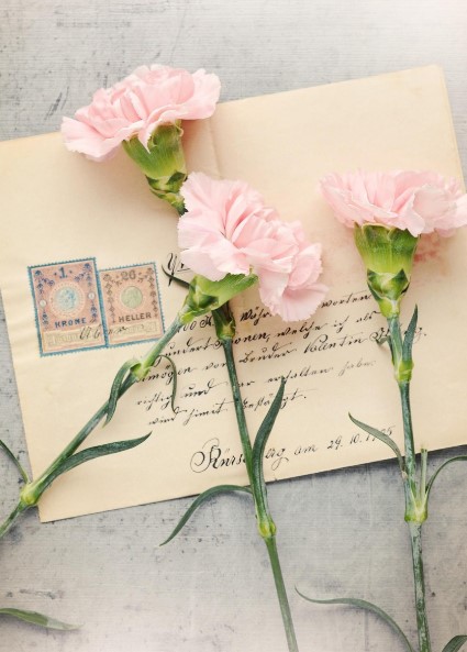 따뜻한 내용이 담긴 편지와 카네이션 3송이 사진