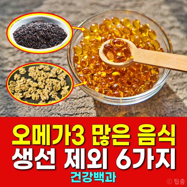 오메가3 많은 음식 생선 말고 제외