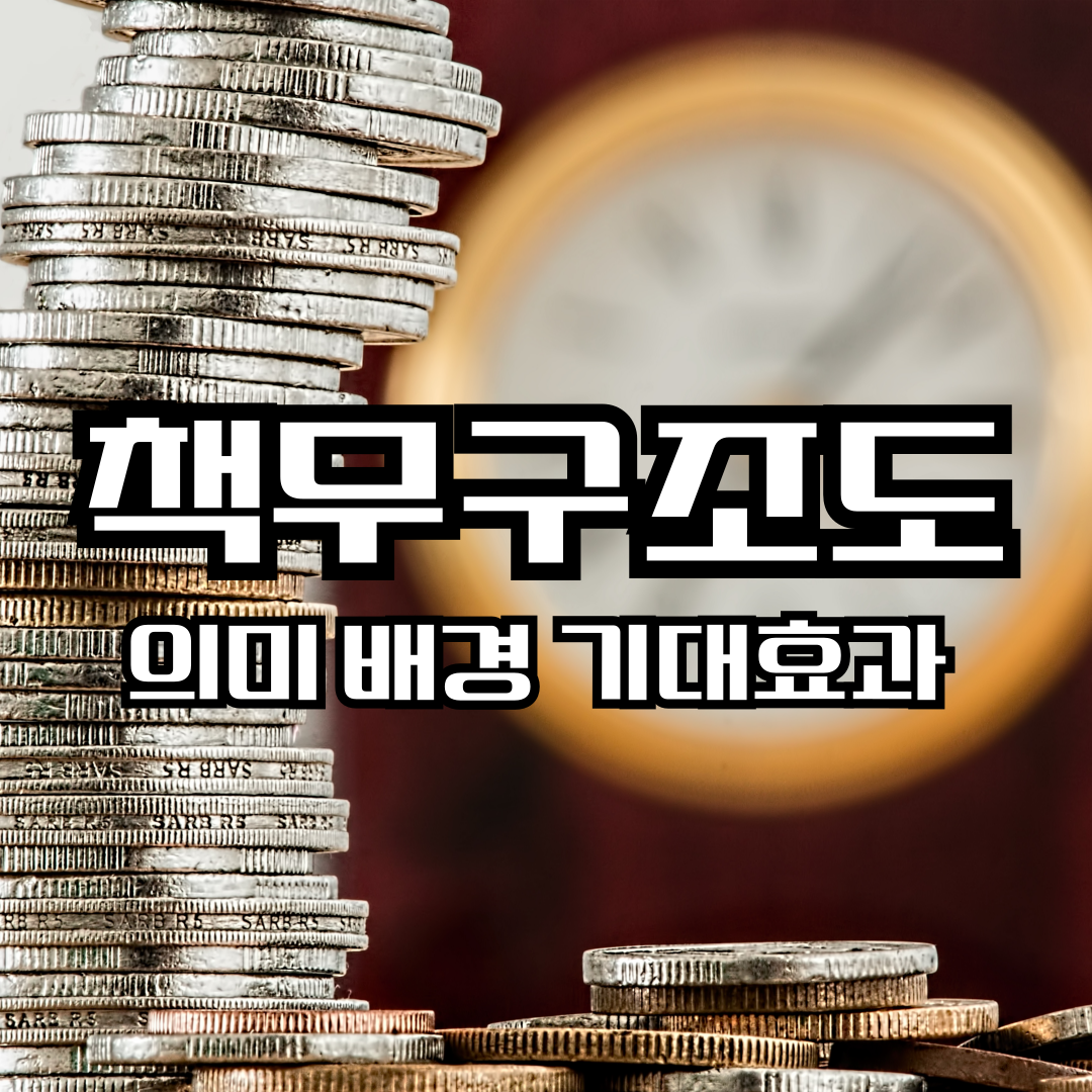 책무구조도 의미 배경 기대효과