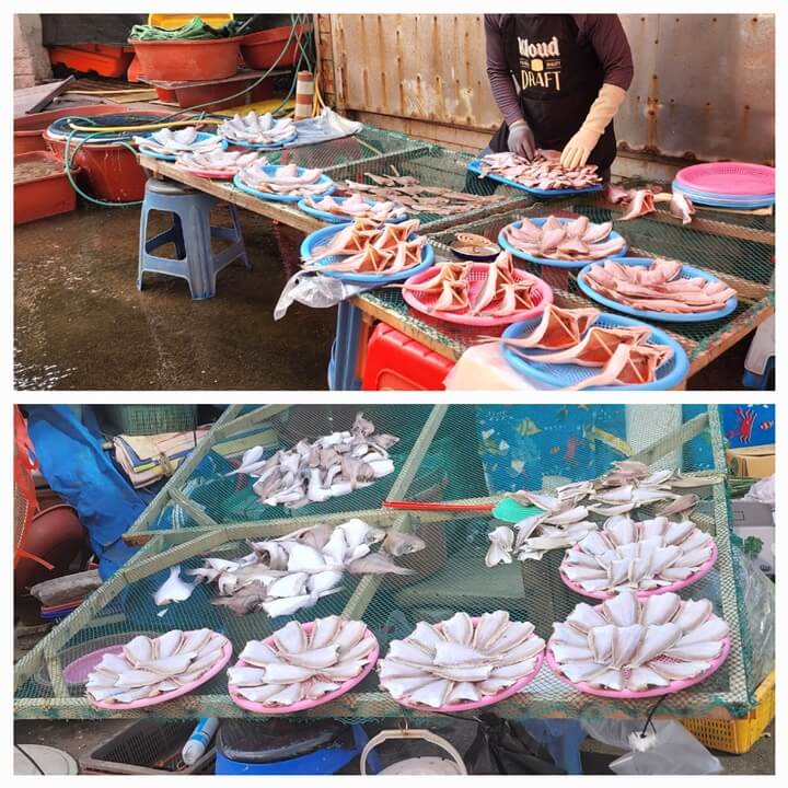 건조중인 납세미와 조기