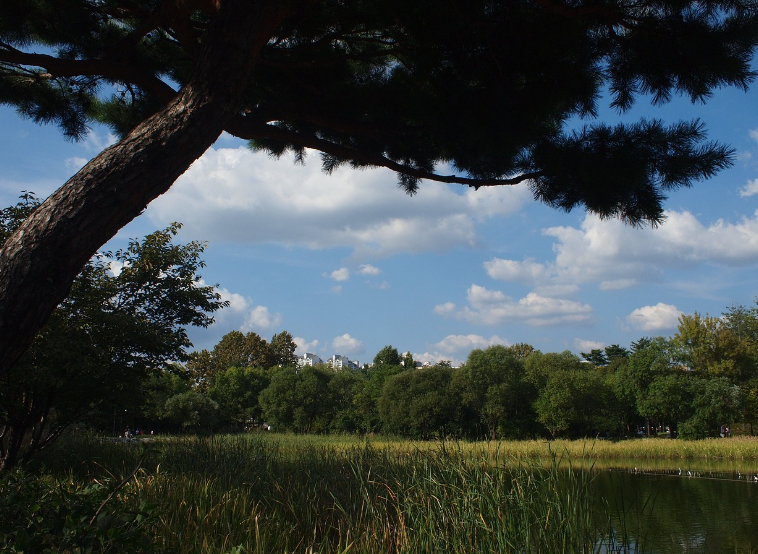외국인이 사랑하는 걷기 좋은 한국 명소 관련 사진