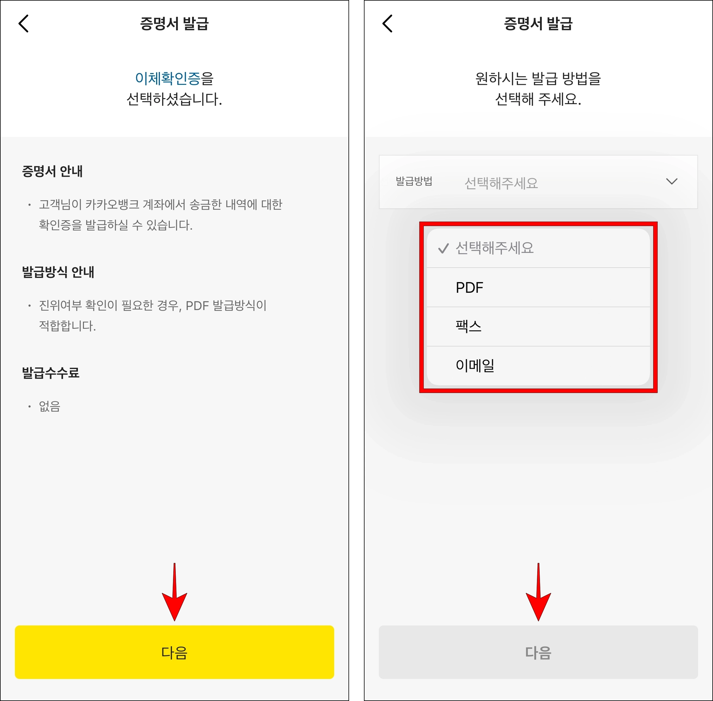 증명서 안내를 확인하고 다음을 선택한 후 발급 방법을 선택하고 다음을 선택