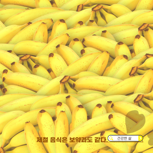 11월 제철과일