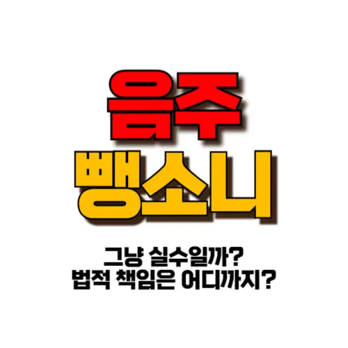 음주뺑소니 썸네일