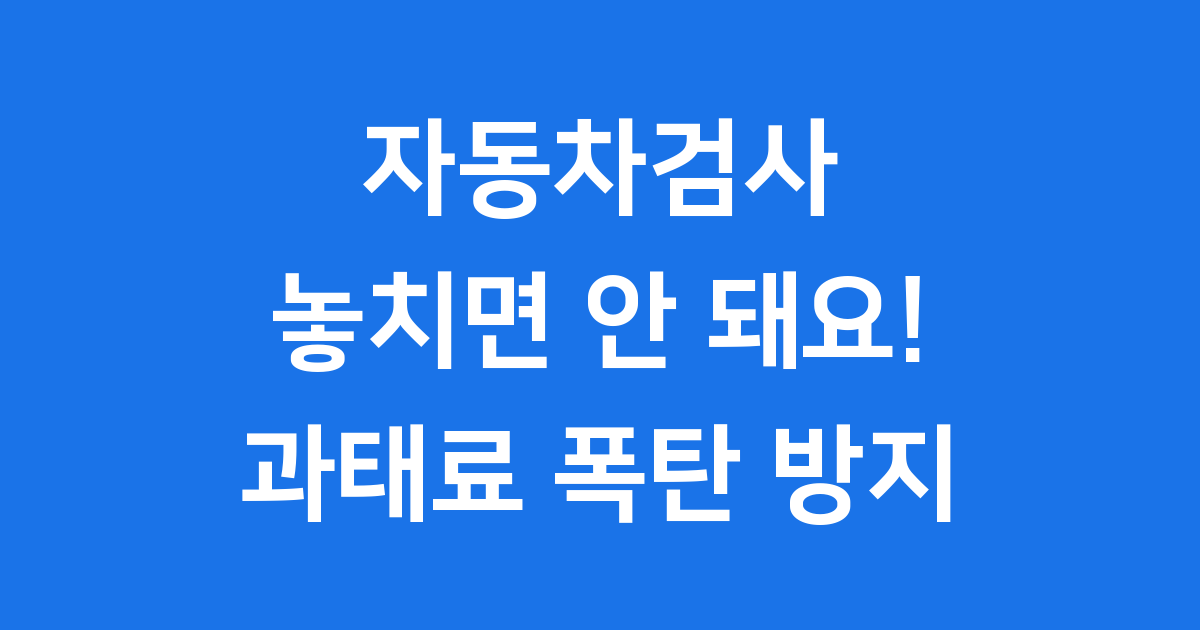 자동차검사 지연 과태료 최대60만원 안내