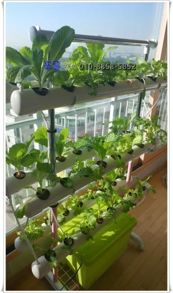 베란다 텃밭 흙 고르기 배수층 화분 선택 물주기 비료주기_15