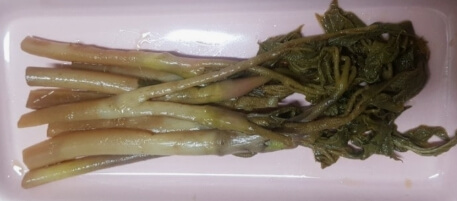 두릅 장아찌 만드는법 황금레시피