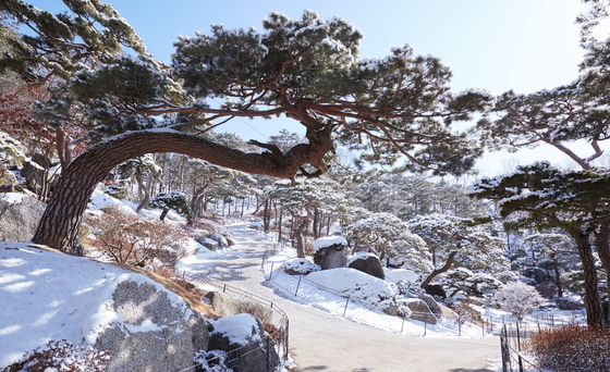 화담 숲 겨울 풍경