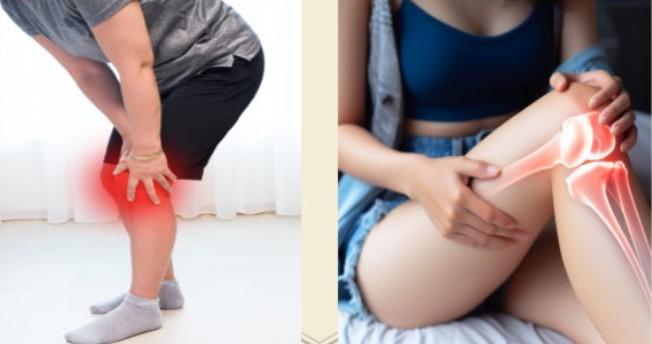 콘드로이친 1200mg