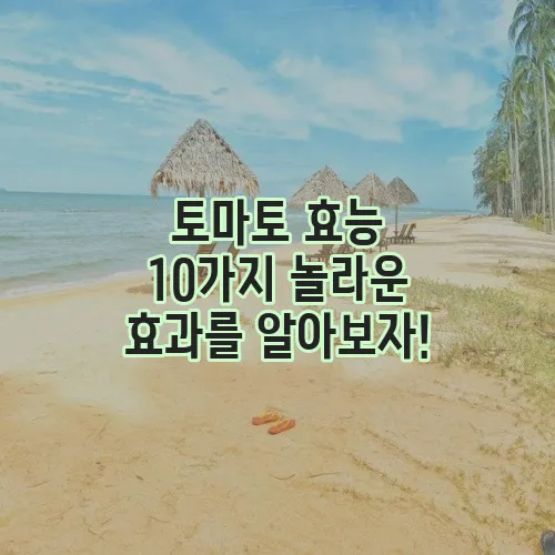 토마토 효능 10가지 놀라운 효과를 알아보자!