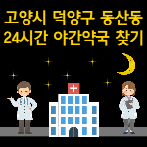 고양시 동산동 24시간 야간 심야 당번약국 찾기