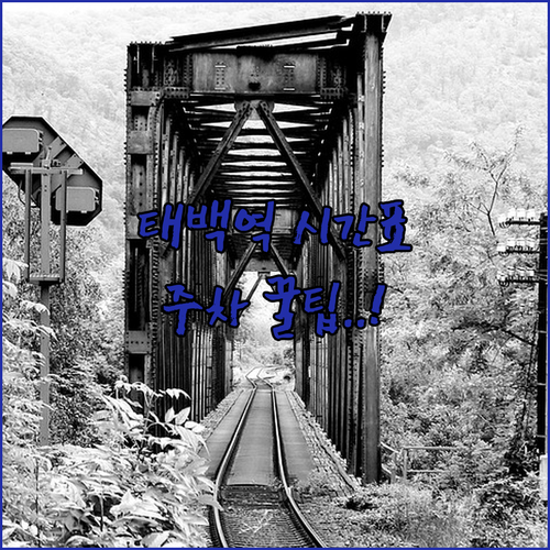 태백역 열차 시간표 확인과 주차장 위..