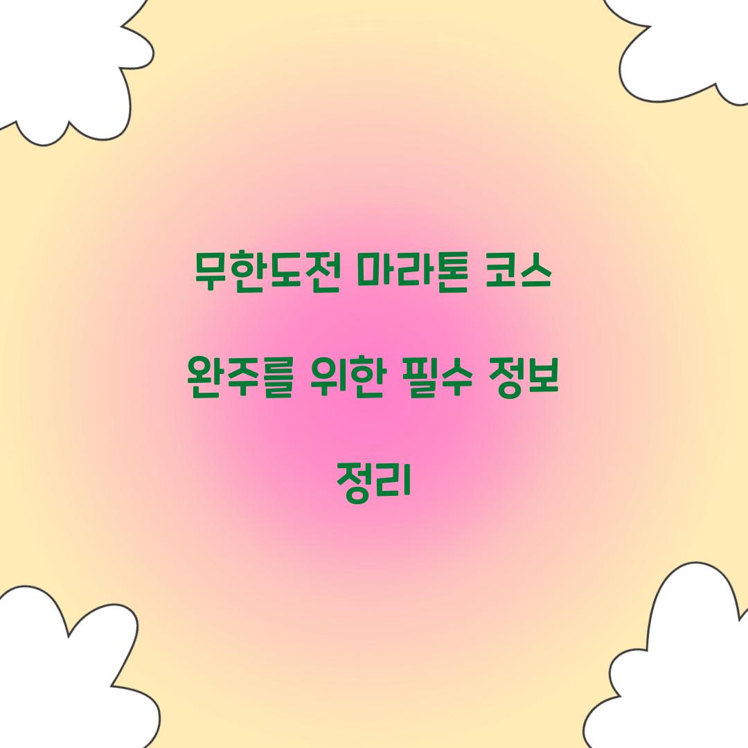무한도전 마라톤 코스