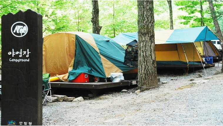 황정산자연휴양림 야외데크