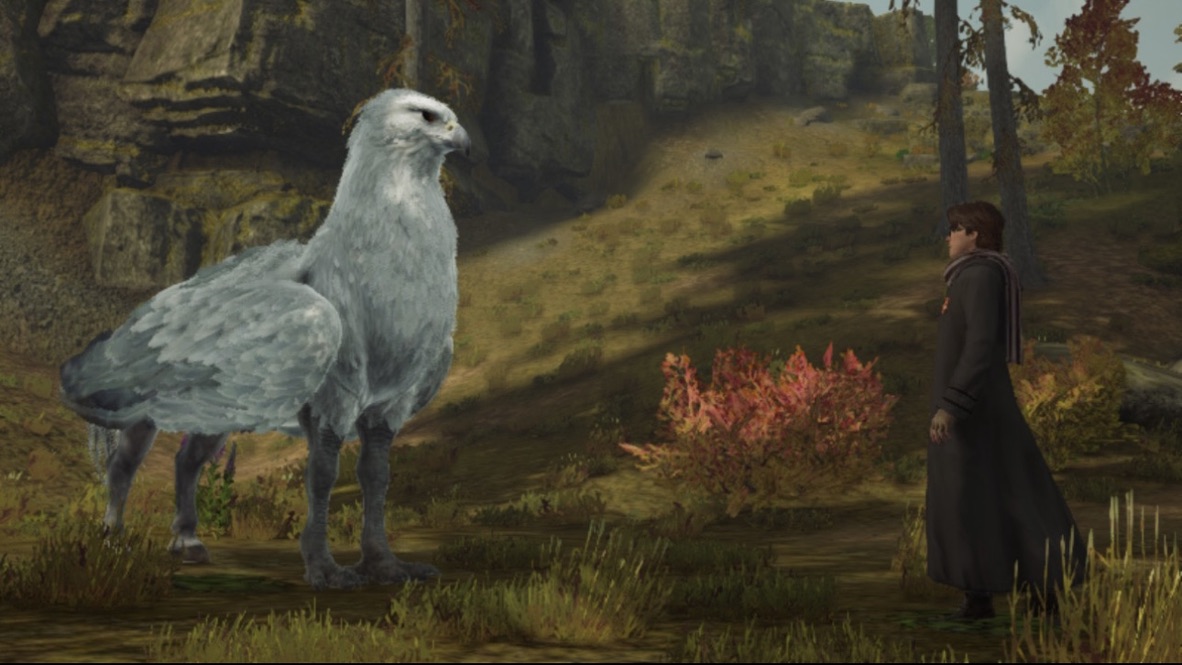 호그와트레거시 히포그리프