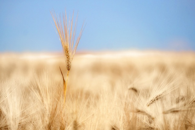 NMN 영양제 BEST 5 &ndash; 저속노화 인기 제품 추천