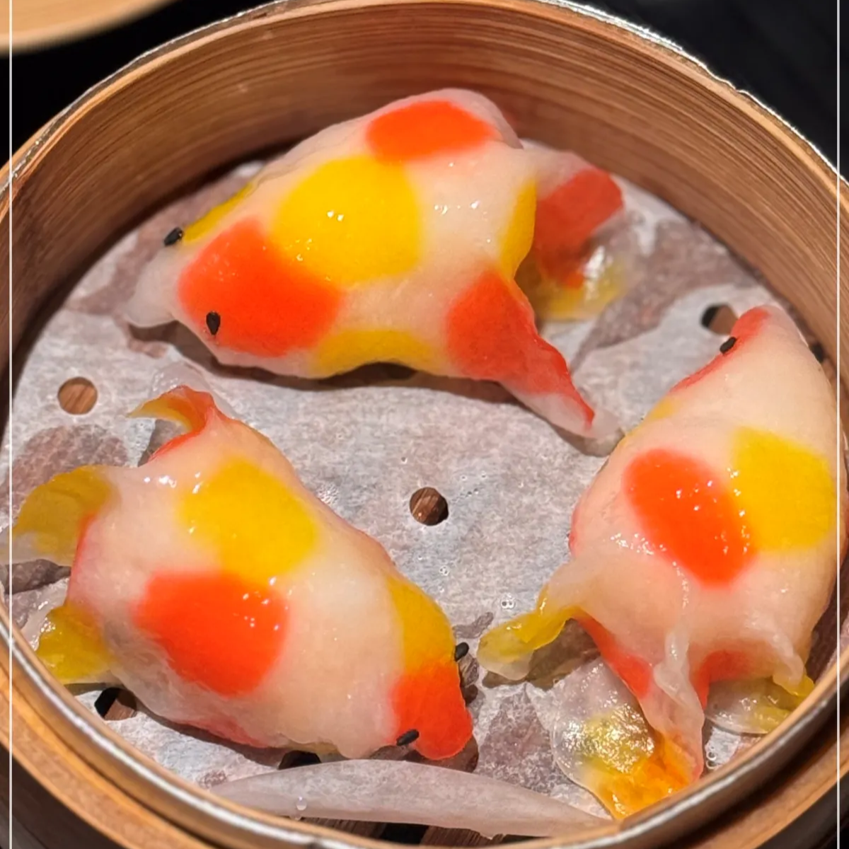 압구정-골드피쉬딤섬퀴진-금붕어딤섬