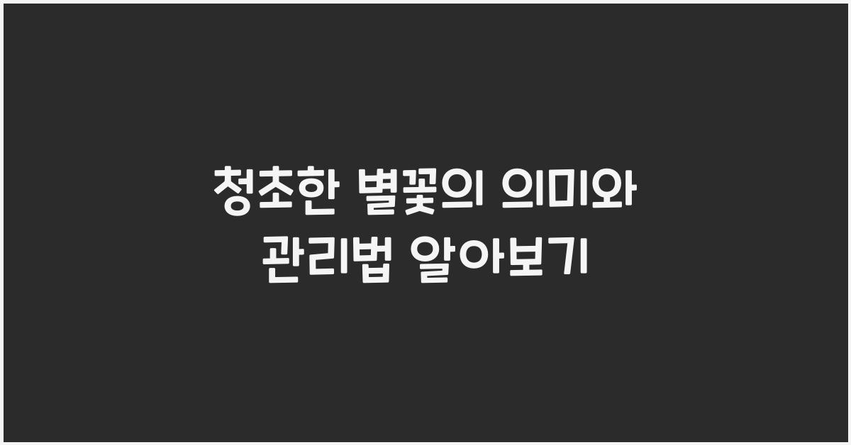 청초한 별꽃의 의미와 관리법