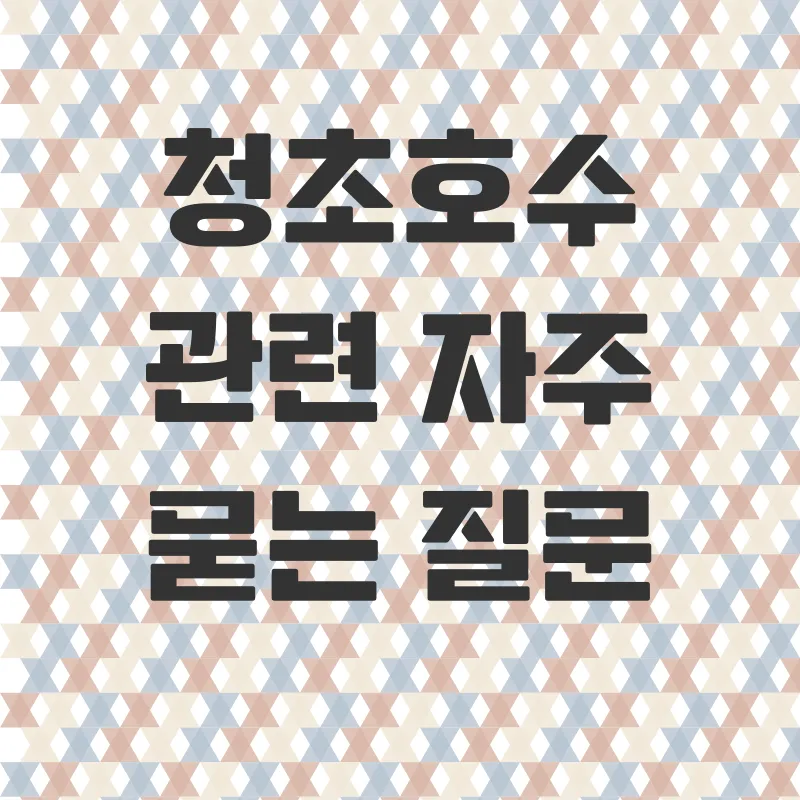 속초 청초호수 여행_4