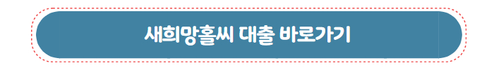 정부 지원 무보증 서민 대출 새희망홀씨 대출