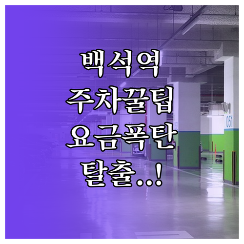 일산 백석역 주차 앱 활용법과 공영주..