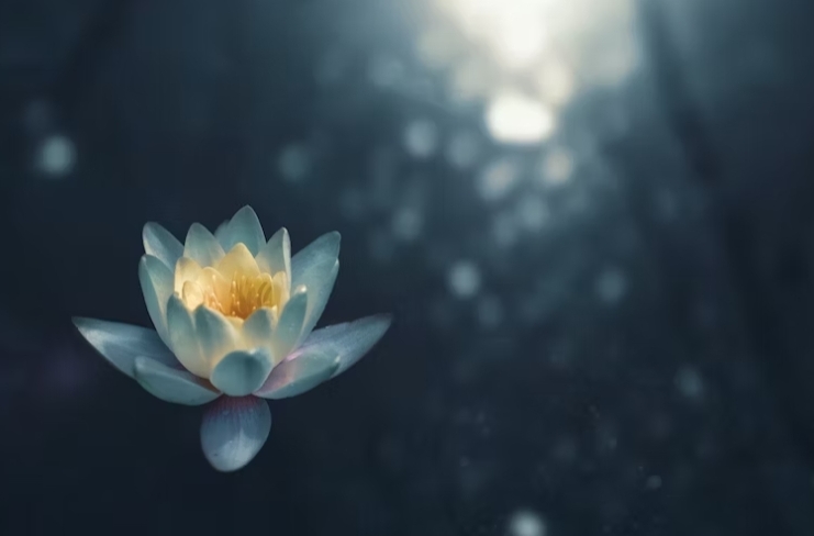 명상하는법2