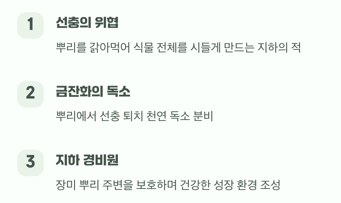 땅속 세상의 보이지 않는 전쟁