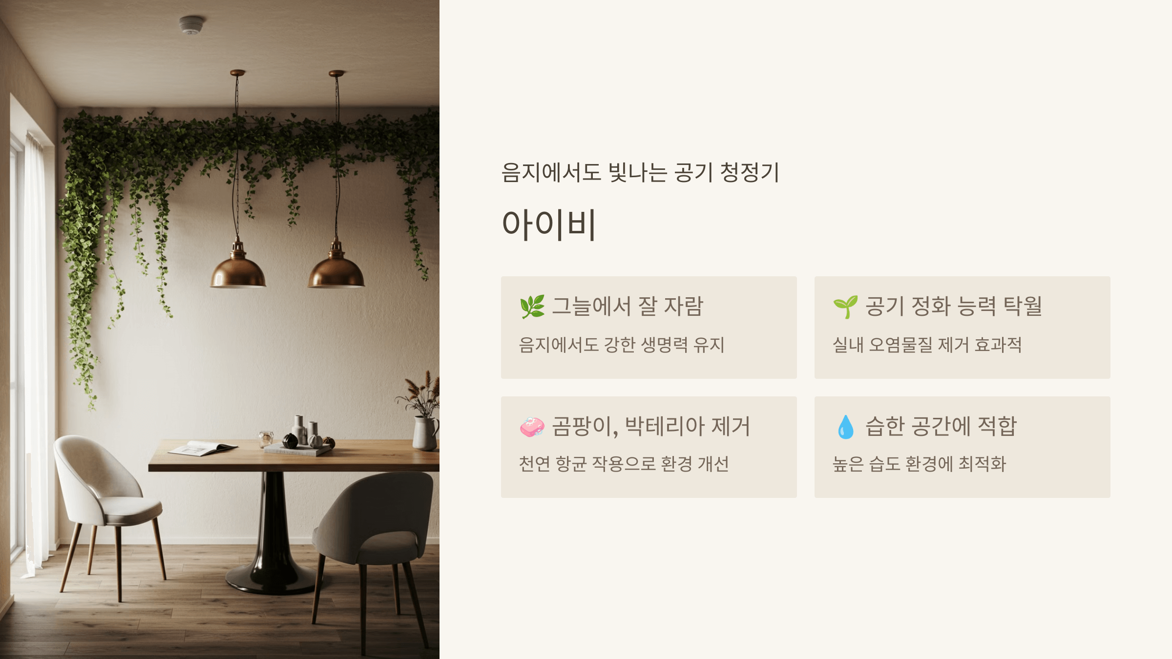 아이비 - 음지에서도 빛나는 공기 청정기