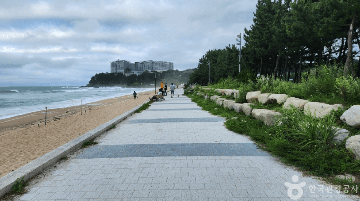 속초해수욕장 (속초)