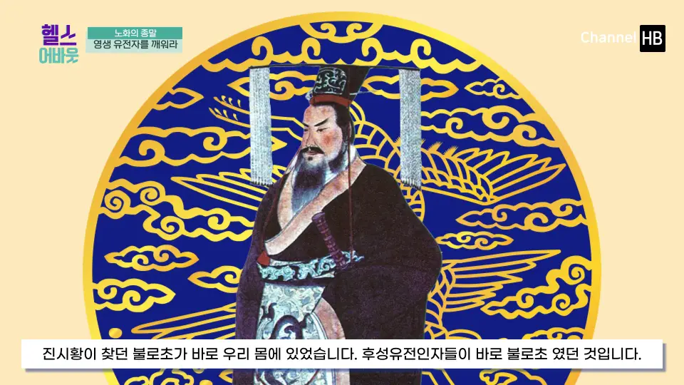 NMN효능