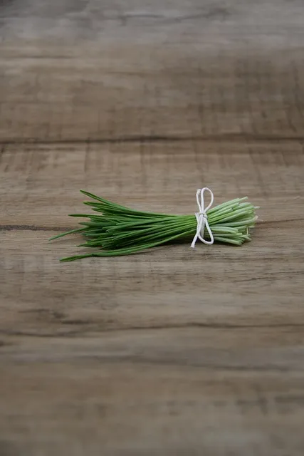 새싹보리 재배 발아 온도 물 분무 수확 시기_2