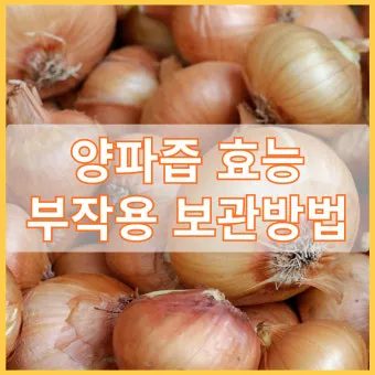 양파 보관법 신선함을 오래 유지하는 건강한 저장 방법까지_21