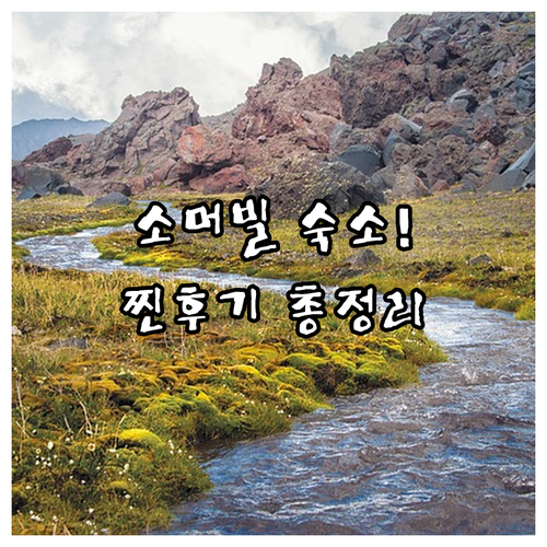 보스턴 자유여행 소머빌 지역 호텔 위..