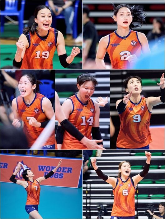 김연경-감독-원더독스-선수단-정보-총정리