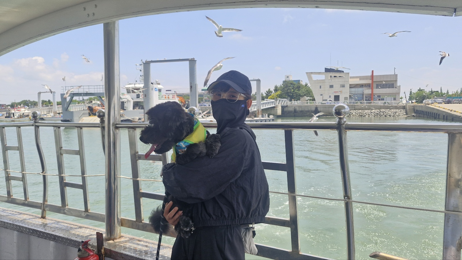 강아지 장 건강과 오리근위 (소화촉진, 유산균 도움)