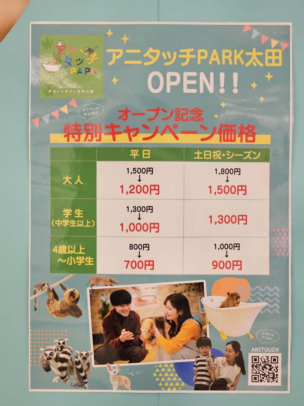 アニタッチ アクアシティお台場_03