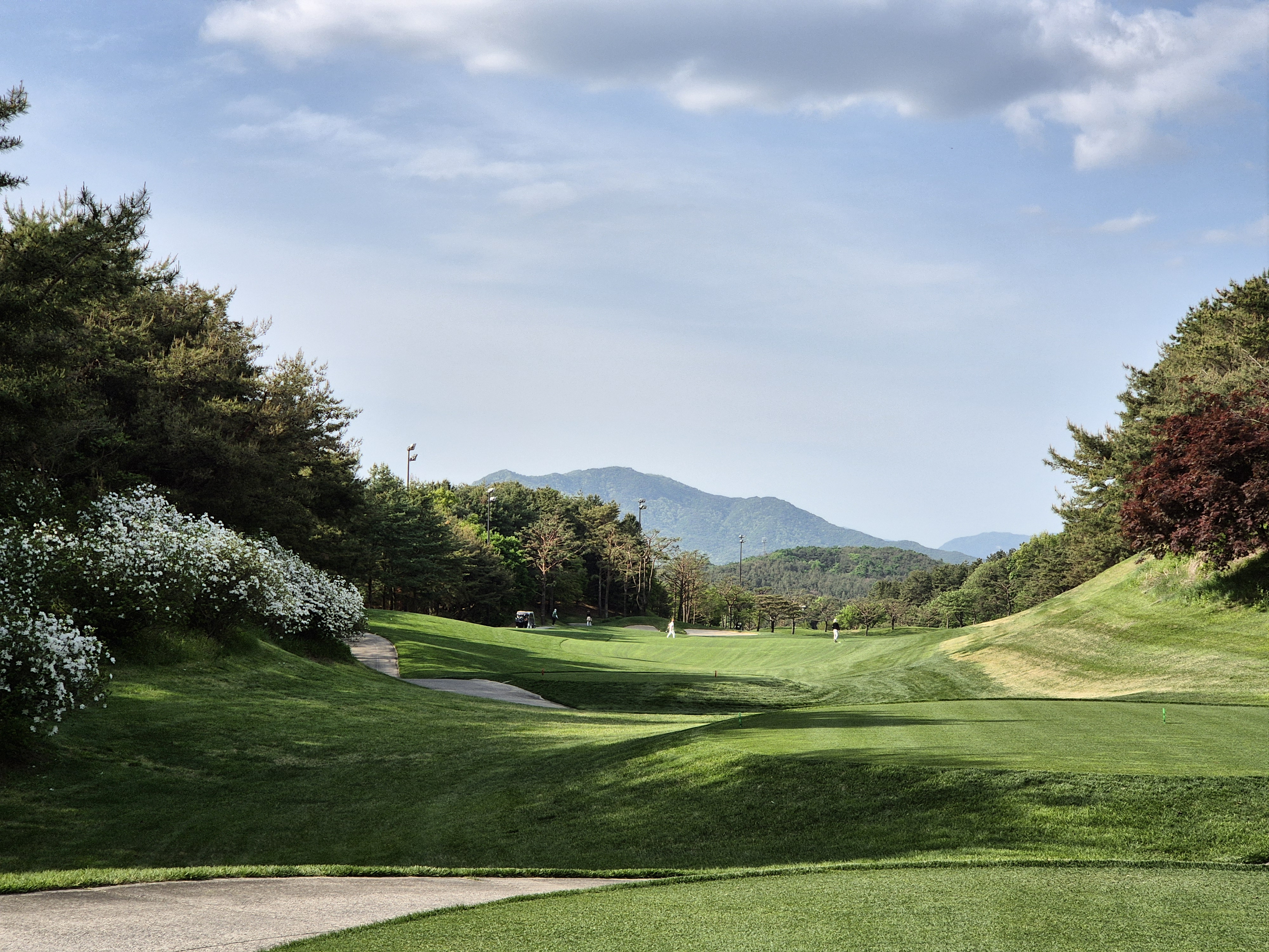 베어크리크cc 크리크코스